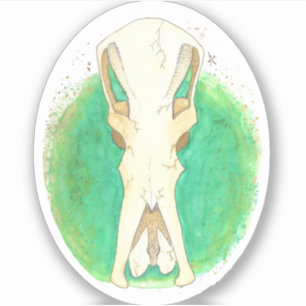 Adesivo Platypus Skull