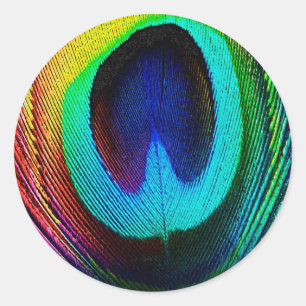 Adesivo Pluma de Pavão Vibrante
