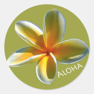 Adesivo Plumeria com Aloha