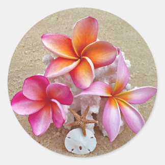 Adesivo Plumeria e conchas no Sandy Beach Sticker