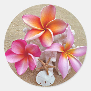 Adesivo Plumeria em escudos na praia