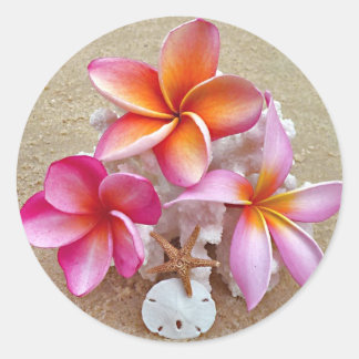 Adesivo Plumeria em Prateleiras