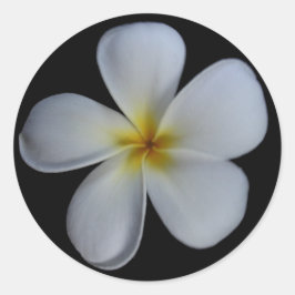 Adesivo Plumeria Stickers