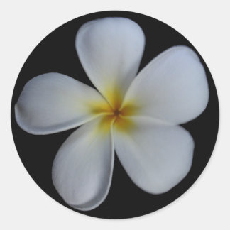 Adesivo Plumeria Stickers