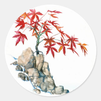 Adesivo PMACarlson Red Maple Bonsai Sticker