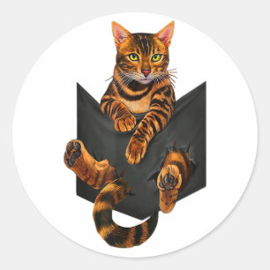Adesivo Pocket Ripper Pocket Bengala de Gato Bengala