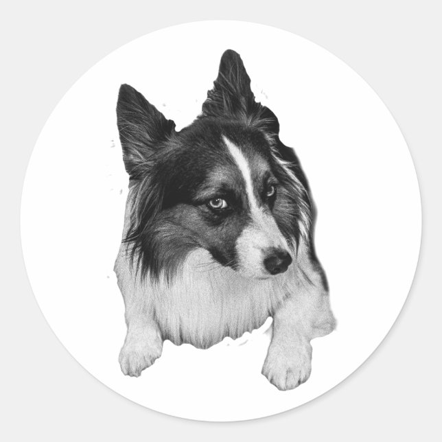 Adesivo Pocket Sticker (Frente)