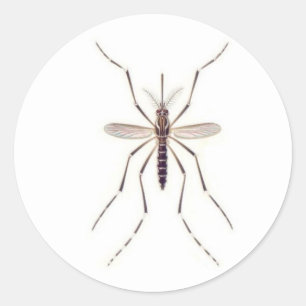 Adesivo PODER do mosquito