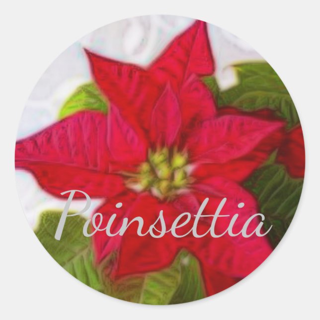 Adesivo Poinsettia (Frente)