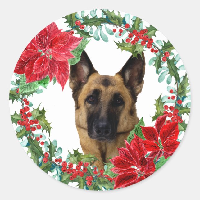 Adesivo Poinsettia German shepherd Cachorro (Frente)