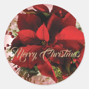 Adesivo Poinsettia Vermelha Elegante