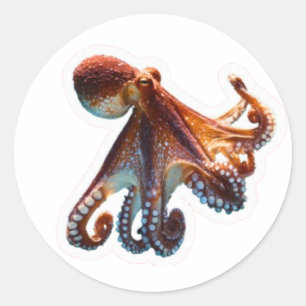 Adesivo Polvo do Oceano Místico - Criatura Artística do Ma