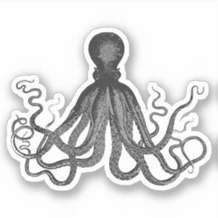 Adesivo Polvo do vintage