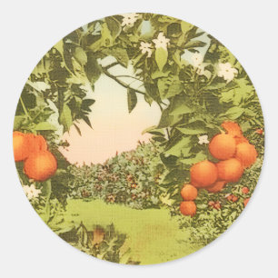Adesivo Pomar de Laranja Vintage