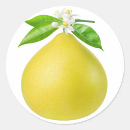 Adesivo Pomelo num galho