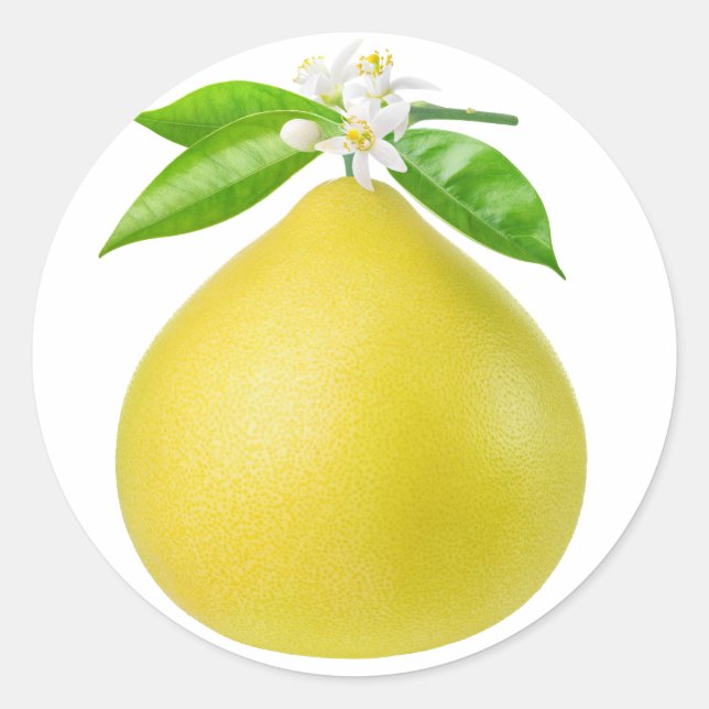Adesivo Pomelo num galho (Frente)