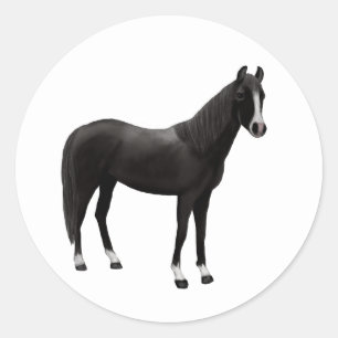 Adesivo Pônei Equestre Cavalo Preto Ocidental