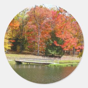 Adesivo Ponte da Seven Springs Fall III Paisagem de Outono