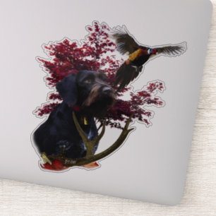 Adesivo Ponteiro alemão Wirehaired