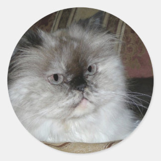 Adesivo Ponto de Torti Himalayan