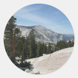 Adesivo Ponto II de Olmsted do parque nacional de Yosemite