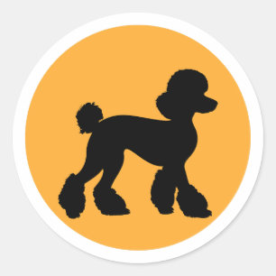 Adesivo poodle