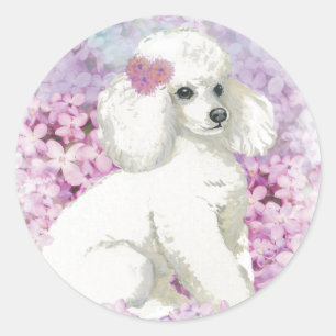 Adesivo Poodle Branco na Arte Lilacs e Presentes