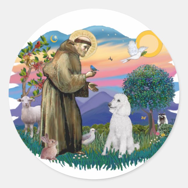 Adesivo Poodle (Branco Padrão) (Frente)