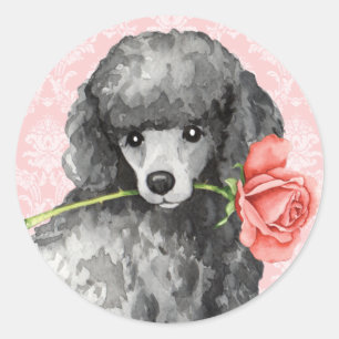Adesivo Poodle Miniatura do Rosa namorados