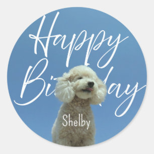 Adesivo Poodle Personalizado Feliz Aniversário Céu Azul Fo
