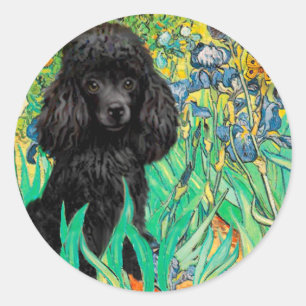 Adesivo Poodle (preto 1) - Íris
