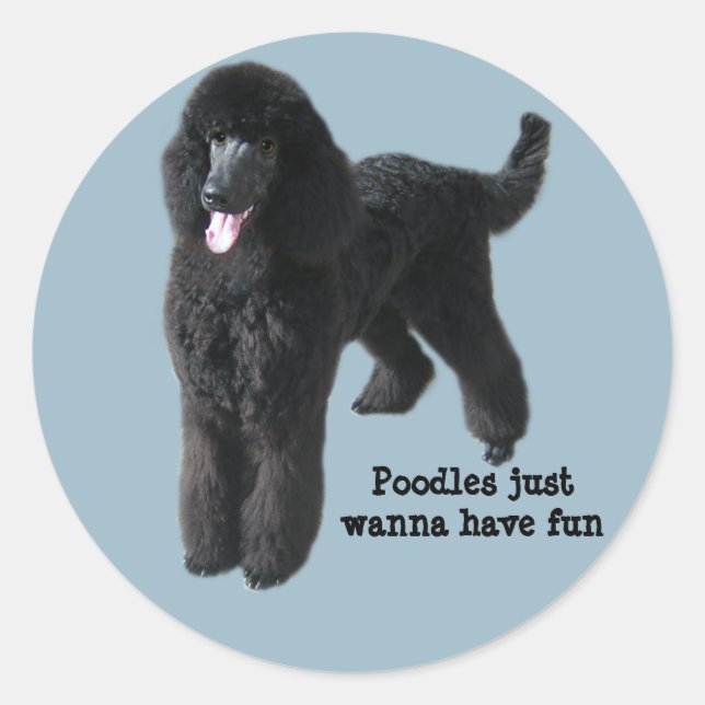 Adesivo Poodle Sticker (Frente)