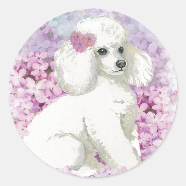 Adesivo Poodle White na Arte Lilacs e Presentes (Frente)