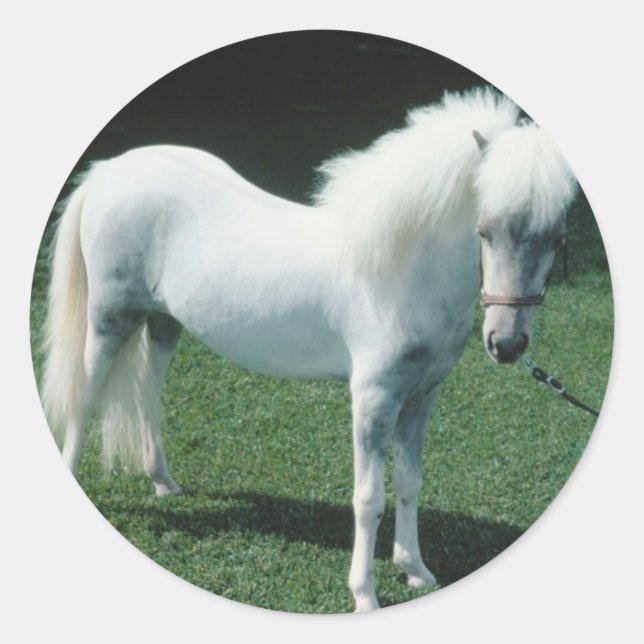 Adesivo Poofy White Pony (Frente)