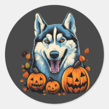 Pop Art Sorridente Cachorro Rouco com Pumpkins Hal