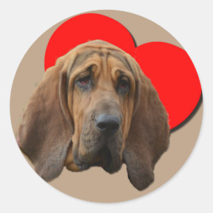 Adesivo PopArt Colorida Bloodhound Heart Art Art