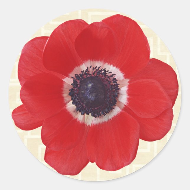 Adesivo Poppy em Beige (Frente)
