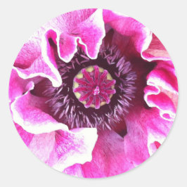 Adesivo Poppy Sticker