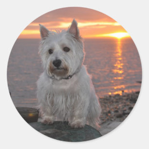 Adesivo Por do sol de Westie