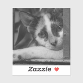 Adesivo Por favor Kitty