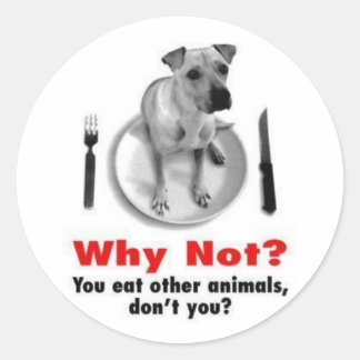 Adesivo Por Que Não? (Versão do adesivo)