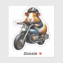 Porco guineense numa motocicleta, caminhada
