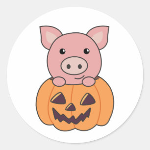 Adesivo Porco Na Pumpkin Suínos Docentes Feliz Halloween C