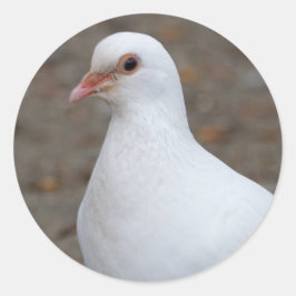 Adesivo Porta da Paz nos Pebbles