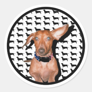 Adesivo Posso Ouvir-Te