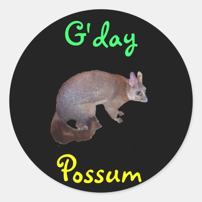 Adesivo Possum (Frente)