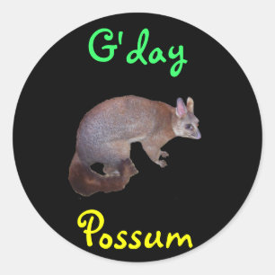 Adesivo Possum