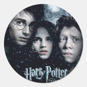 Adesivo Poster do Harry Potter Movie