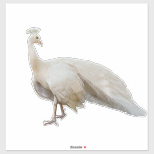 Adesivo Posto de pavão branco