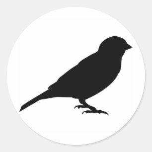 ADESIVO POUCO BIRDY